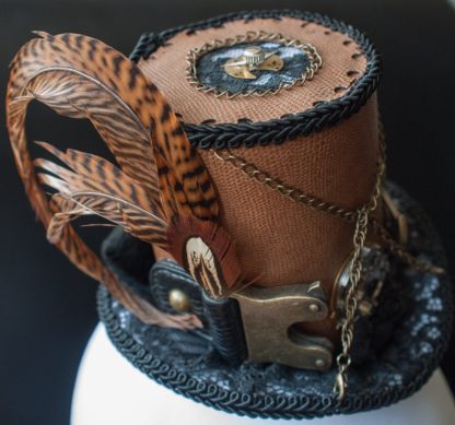 Steampunk cylinder with pheasant feathers and tip