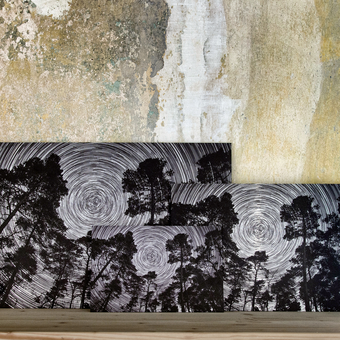 Noctilucent Mind Picture